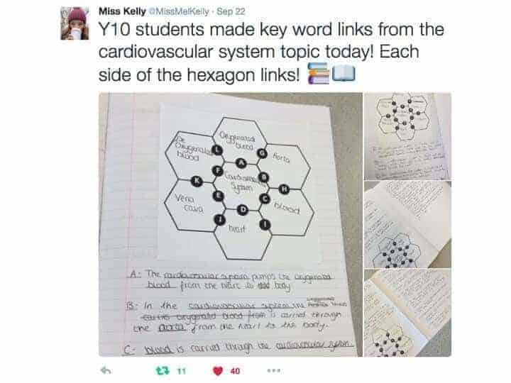 Hexagon Link Challenge e